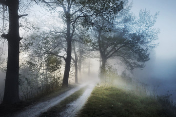 Fototapeta na wymiar Oszałamiająca mglisty krajobraz