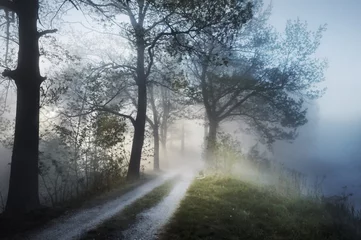 Photo sur Plexiglas Artist KB Superbe paysage brumeux