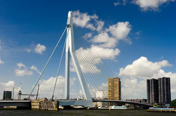 Wall murals Erasmus Bridge Erasmus bridge in Rotterdam