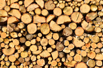 Firewood background