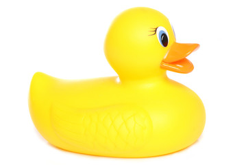 yellow rubber duck