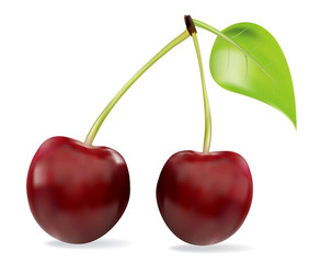 Vector ripe cherries with leave