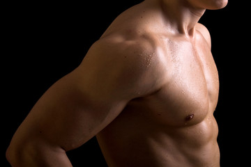 Beautiful muscular male torso on black background