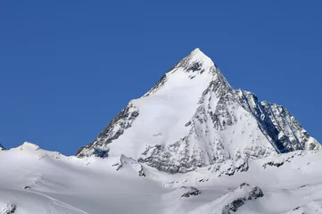 Gordijnen Gran Zebru' (Koenigspitze) mountain © RobertoC