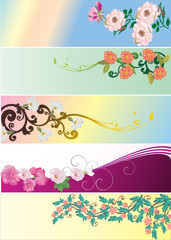 set of five floral strips
