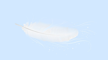 white feather on light blue background