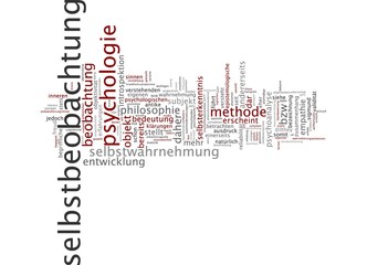 Selbstbeobachtung