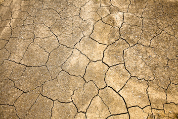 Cracked and Arid  Ground without water