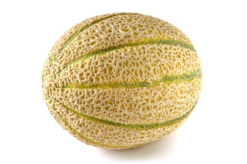 Melon