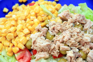 Salad with tuna fish olives and corn Spain