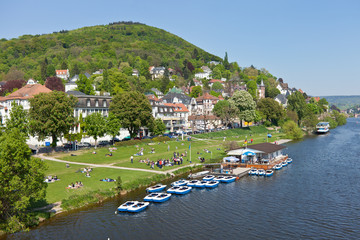 Neckarwiese Heidelberg im Sommer