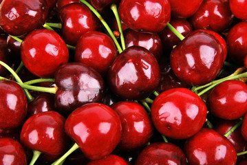 Cherry red background