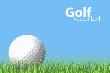 golf ball - 32964405