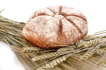Bread on grain