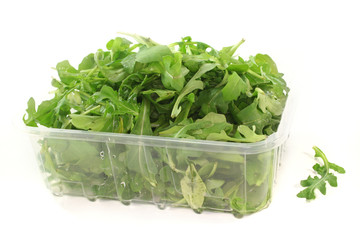 Rucola