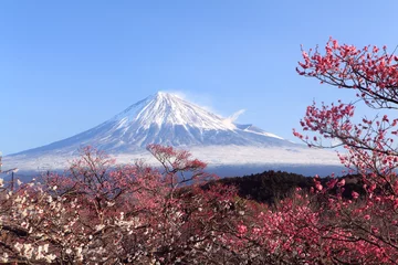Fotobehang Fuji Mount Fuji met Japanse pruimenbloesem