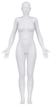 White female figure in anatomical position anterior view