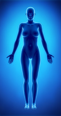 Obraz na płótnie Canvas Female figure in anatomical position anteriror view