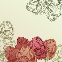 hand drawn red roses on sepia background