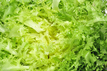 escarole endive