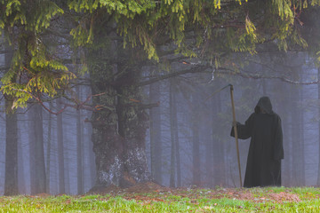 Grim Reaper in the foggy wood