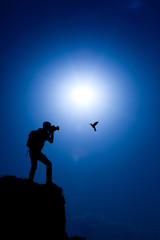 photographer make a shot of a hummingbird