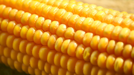 Sweet corn background