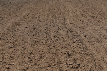 soil