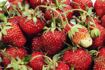 Fresh ripe organic strawberries with green peduncles