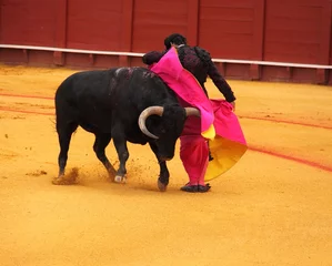 Peel and stick wall murals Bullfighting Corrida