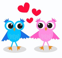 two cute owls in love