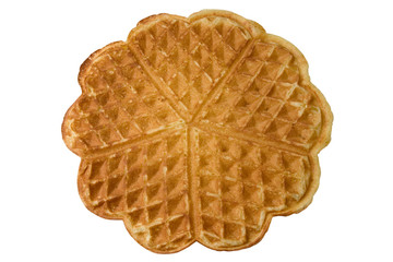 single fresh pancake isolated on white background.