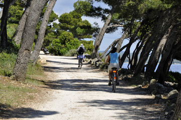 fahrradweg am meer