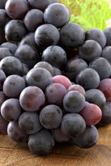 fresh concord  grapes