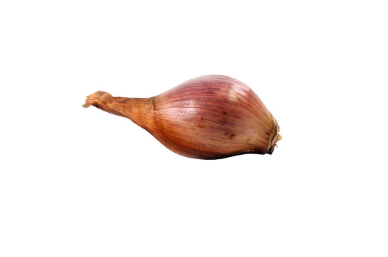 Isolated onion.