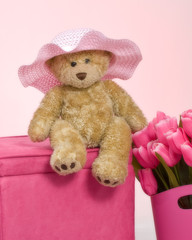 teddy bear pink and roses