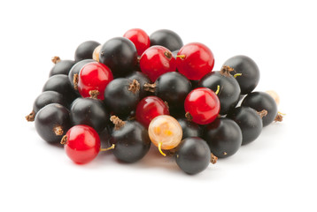 currant