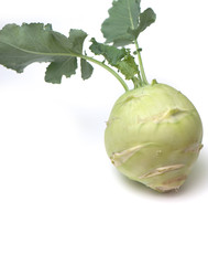 cabbage of kohlrabi