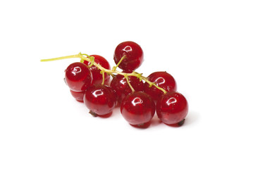 red currant