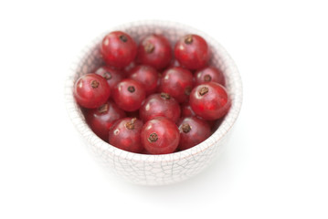 red currant
