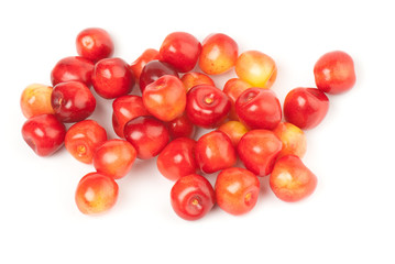 Sweet cherry