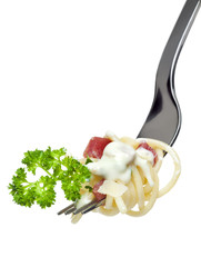 spaghetti carbonara on fork isolated