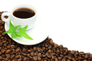 coffee beans and coffee