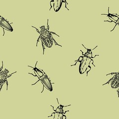 seamless texture with insects