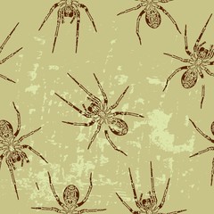 seamless texture with a spider