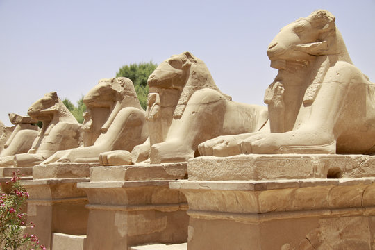 Ancient statues in the Karnak Temple. Luxor