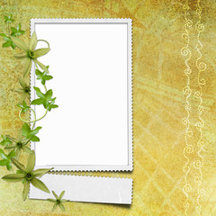 Framework for photo or congratulation.