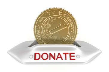 Donate concept icon, isolated on white