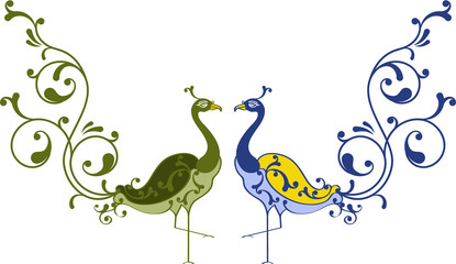 Peacock artistic hand drawn