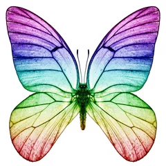 Papier Peint photo Lavable Papillon Couleurs d& 39 arc-en-ciel de papillon